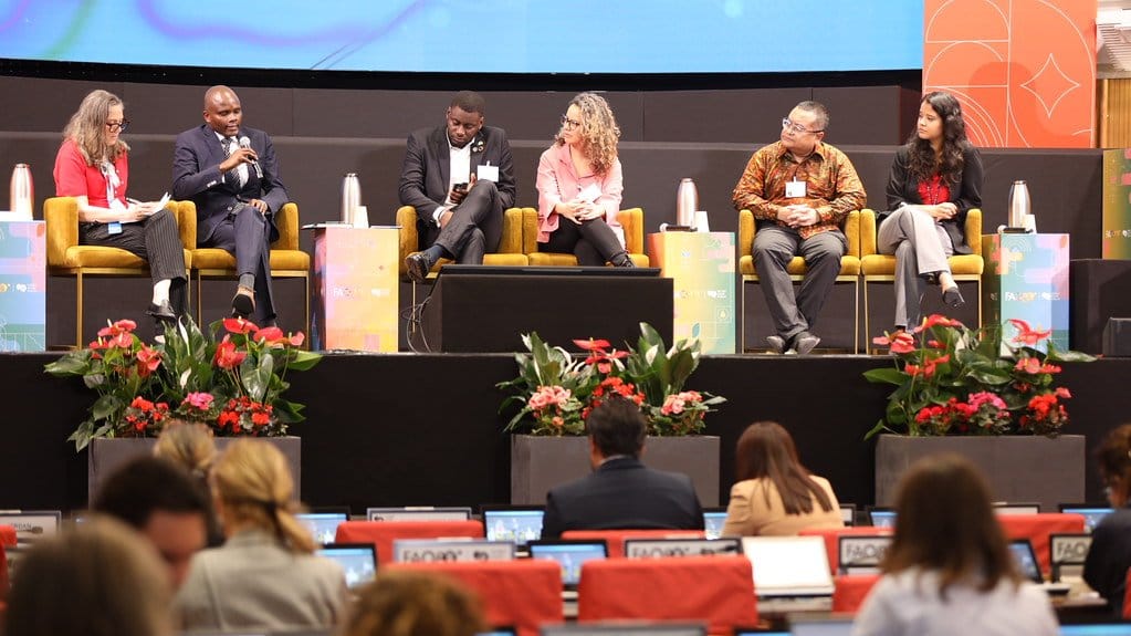 Panellists on stage at the water tenure technical session of the Rome Water Dialogue 2026