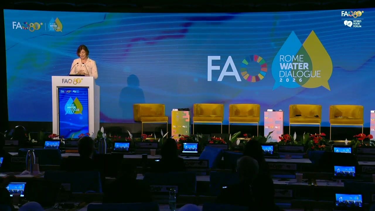 Beth Bechdol at the lectern of FAO's Plenary Hall, with the empty panel chairs on stage
