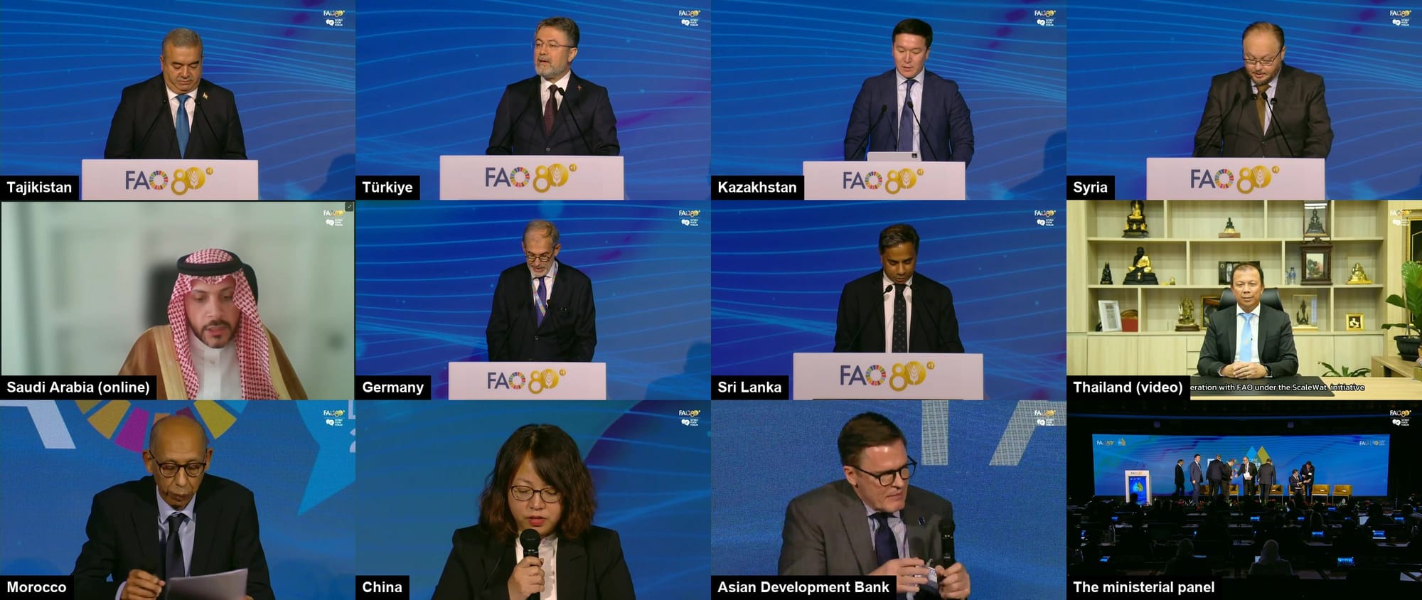 Stills of the eleven speakers on the ministerial and high-level panels, each labelled with their country or institution
