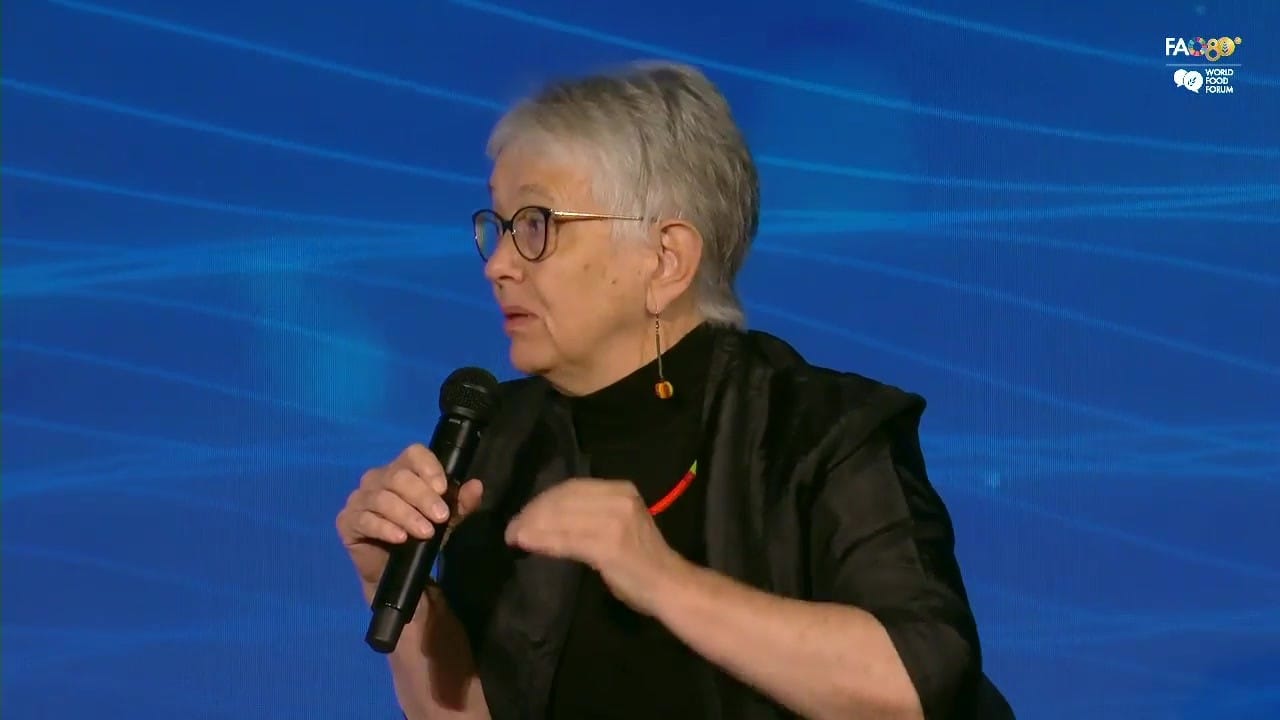 Barbara Schreiner speaking on the stakeholder panel