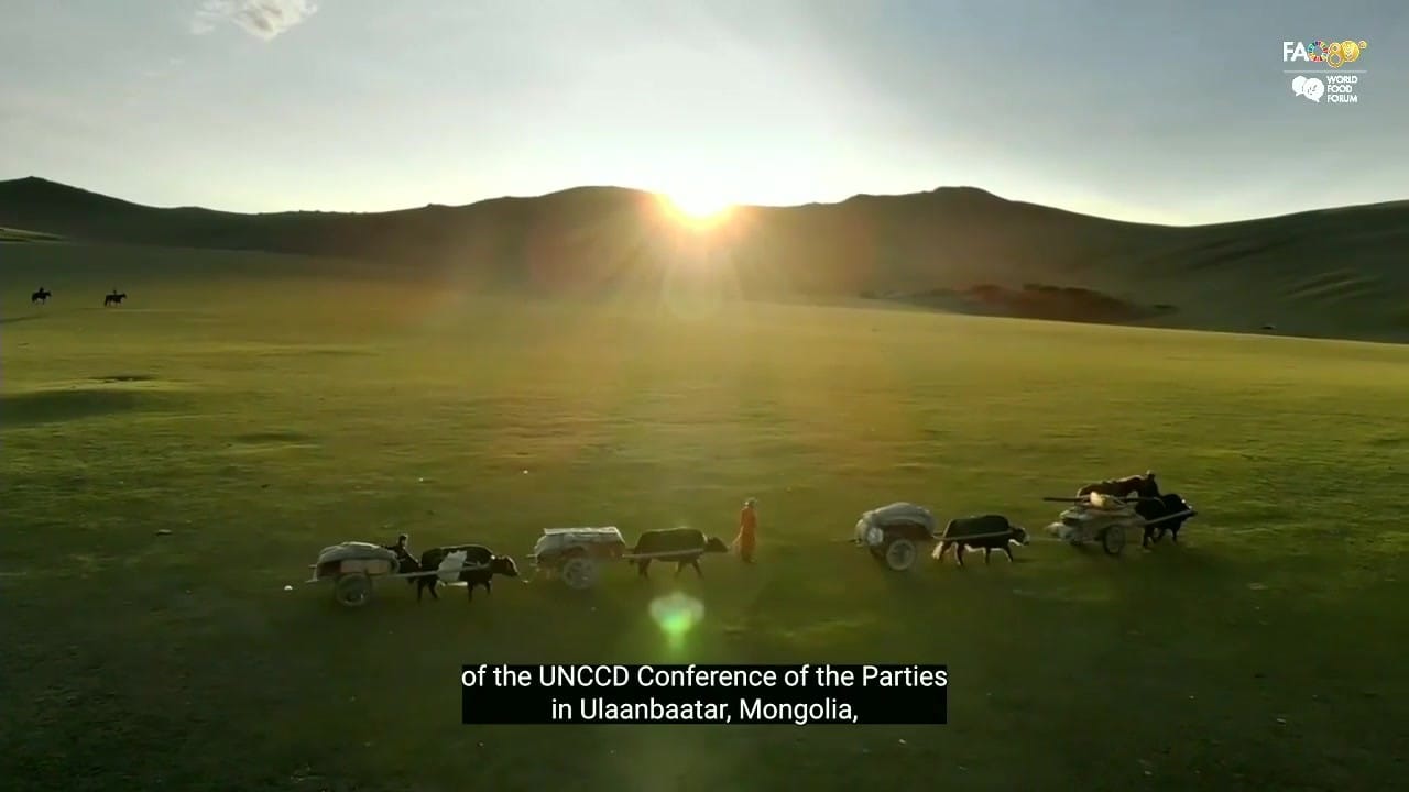 Herders with carts crossing Mongolian grassland at sunrise, from the UNCCD video, subtitled 'of the UNCCD Conference of the Parties in Ulaanbaatar, Mongolia'