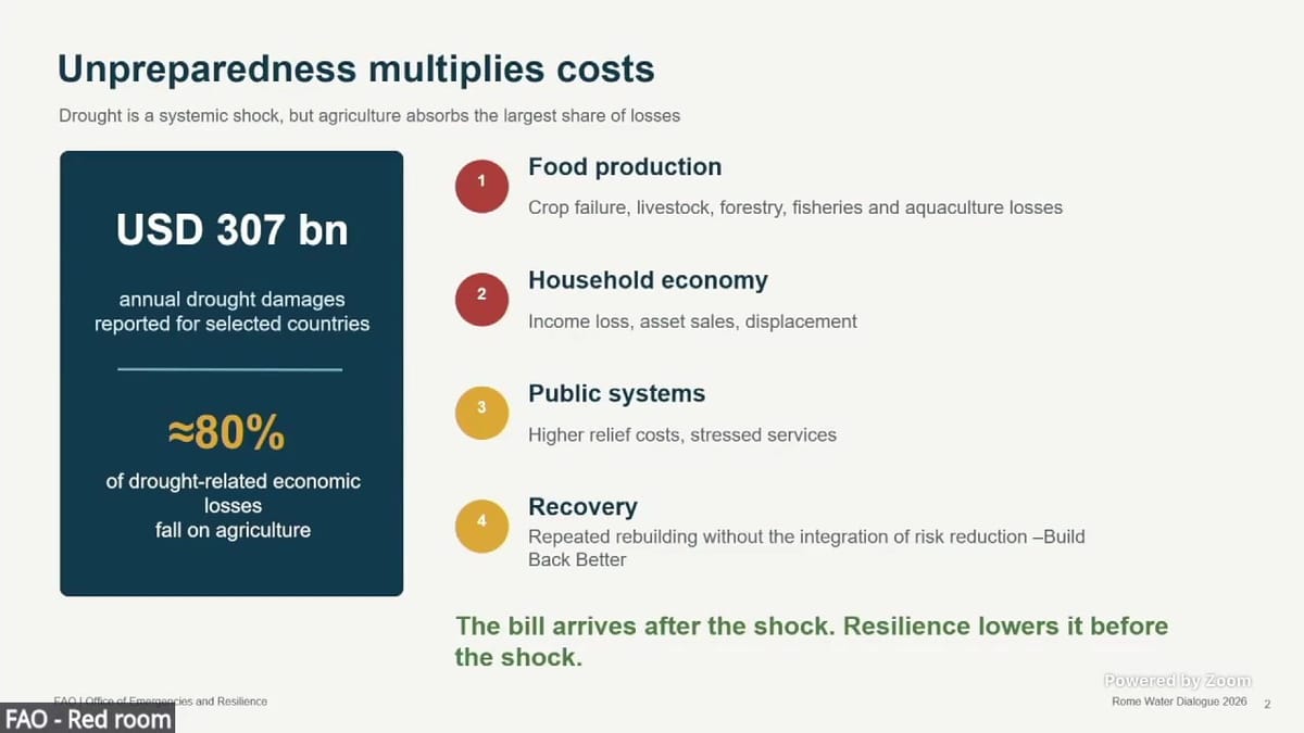 Slide: USD 307 billion annual drought damages, about 80 per cent of drought-related economic losses fall on agriculture; the bill arrives after the shock
