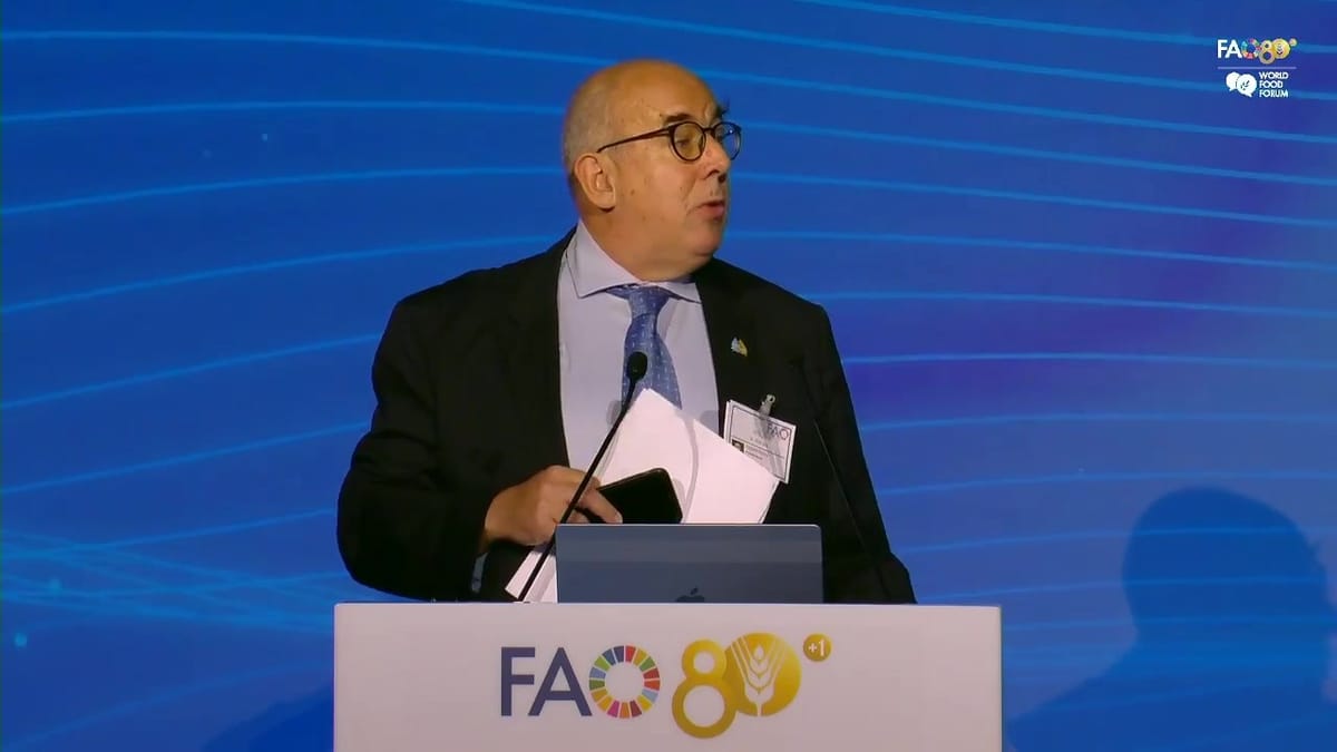 Stephen Hodgson at the lectern presenting the draft principles at the High-level Rome Water Dialogue 2026