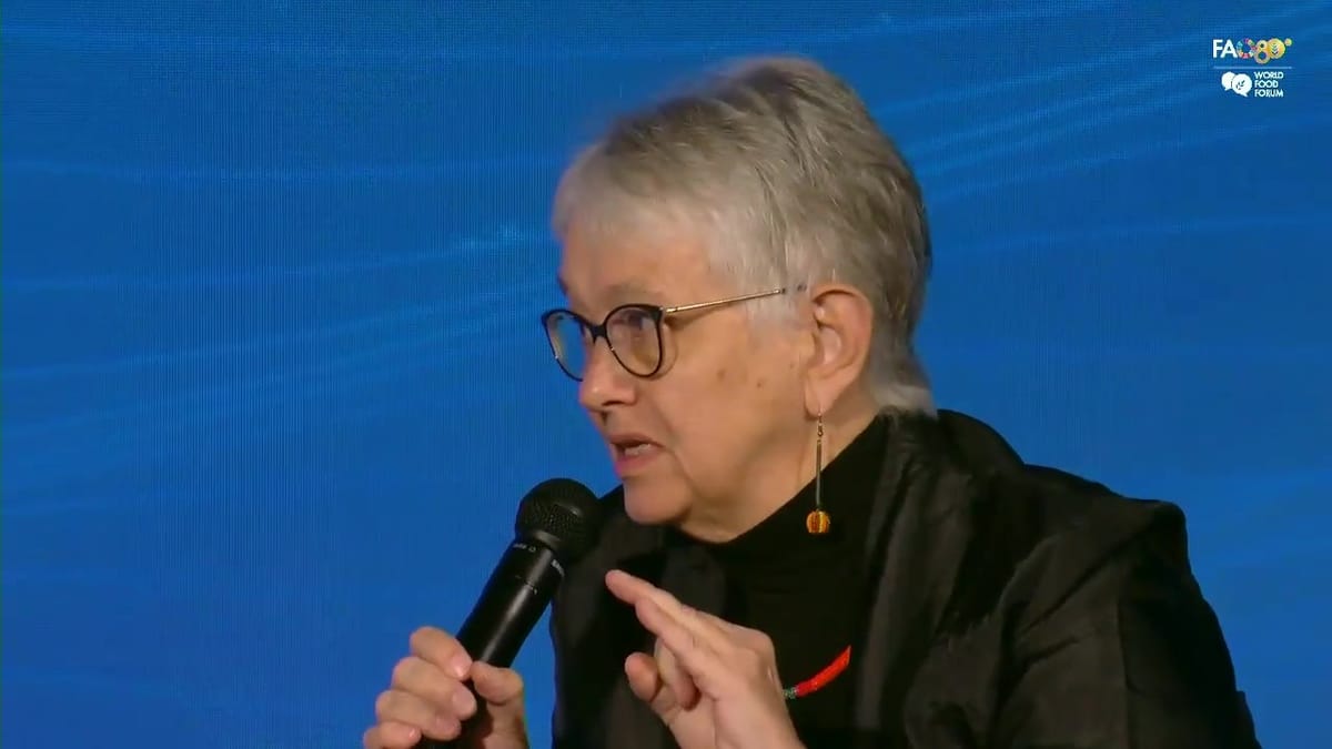 Barbara Schreiner speaking into a microphone on the stakeholder panel