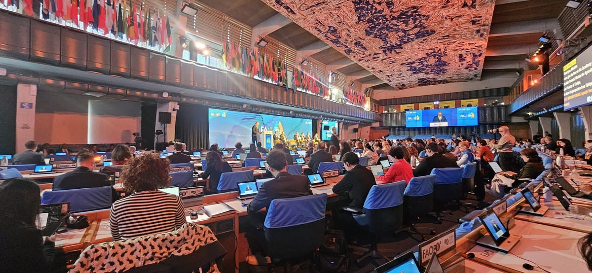 FAO Plenary Hall during the ministerial panel of the High-level Rome Water Dialogue 2026