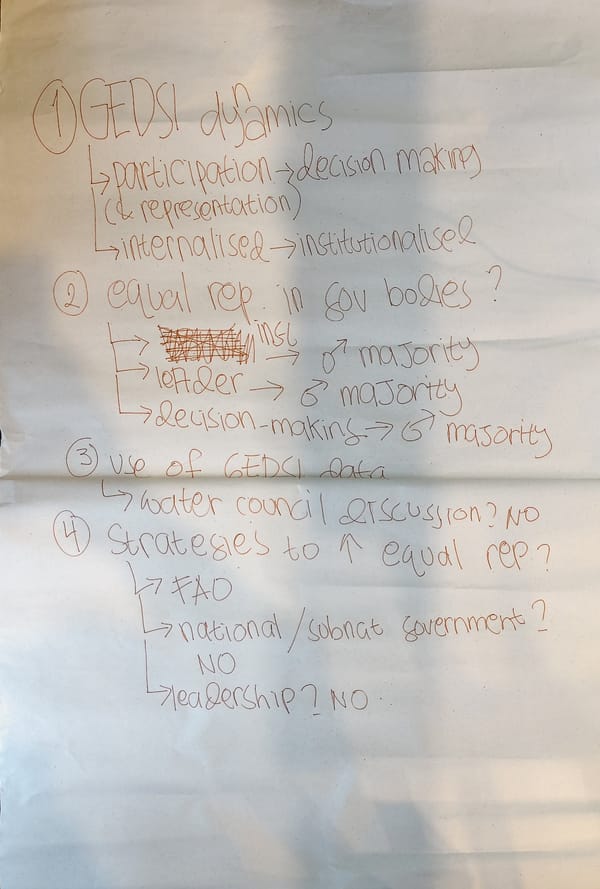 Day 1 GEDSI flipchart on equal representation in water decision-making