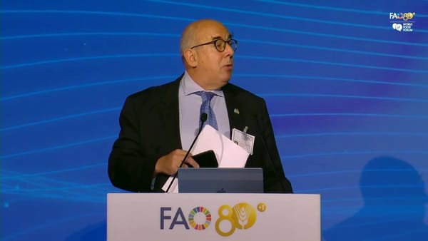 Stephen Hodgson at the lectern presenting the draft principles at the High-level Rome Water Dialogue 2026